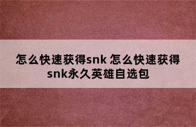 怎么快速获得snk 怎么快速获得snk永久英雄自选包